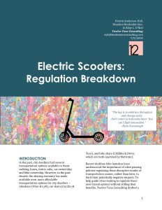 Electric Scooter - Regulation Breakdown (12 Tone Consulting)